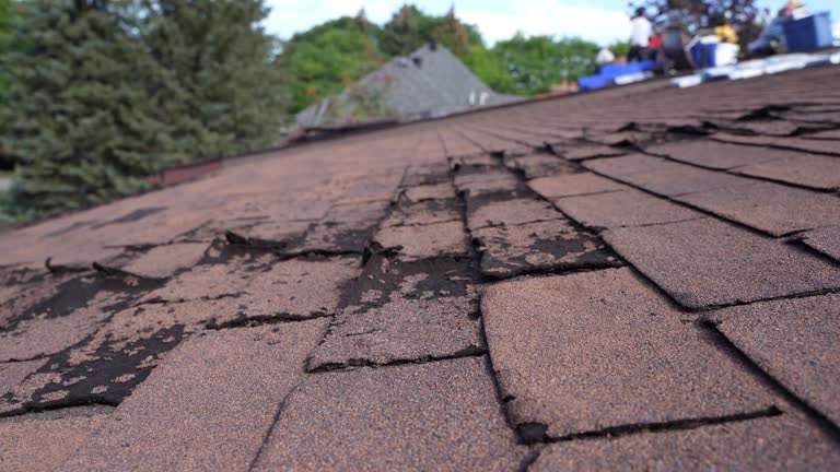 Best Hot Roofs  in New River, AZ