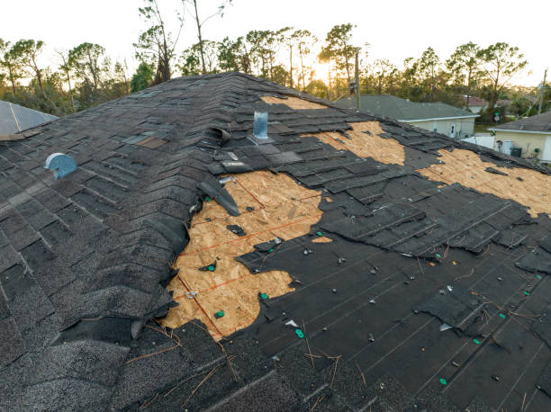 Best Roof Maintenance and Cleaning  in New River, AZ
